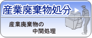 �Y�Ɣp��������